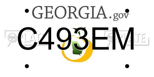 C493EM Georgia License Plate