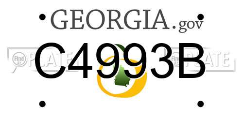 C4993B Georgia License Plate
