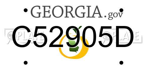 C52905D Georgia License Plate