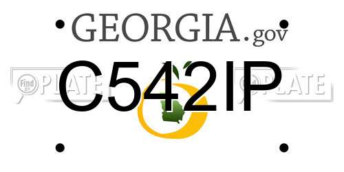 C542IP Georgia License Plate