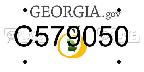 C579050 Georgia License Plate