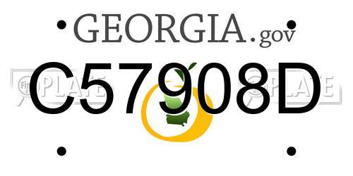 C57908D Georgia License Plate