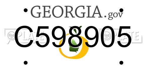 C598905 Georgia License Plate