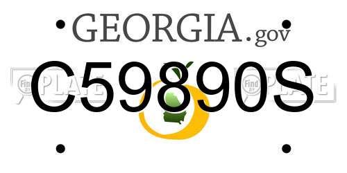 C59890S Georgia License Plate