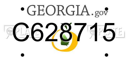 C628715 Georgia License Plate