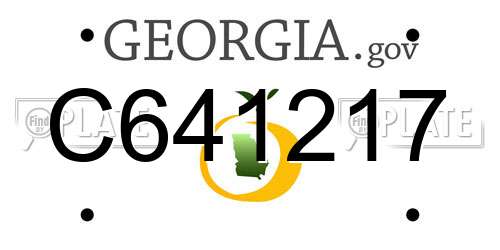C641217 Georgia License Plate