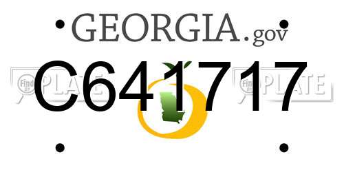 C641717 Georgia License Plate
