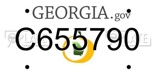 C655790 Georgia License Plate