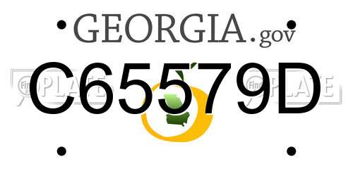 C65579D Georgia License Plate