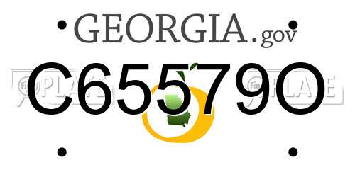 C65579O Georgia License Plate