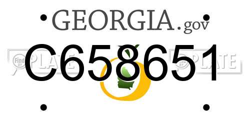 C658651 Georgia License Plate