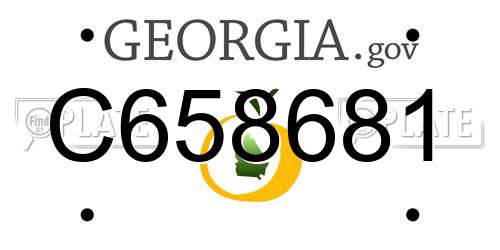 C658681 Georgia License Plate