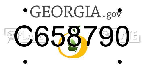 C658790 Georgia License Plate