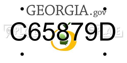 C65879D Georgia License Plate