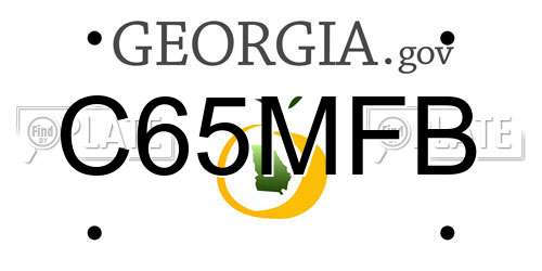 C65MFB Georgia License Plate