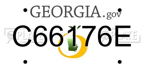 C66176E Georgia License Plate