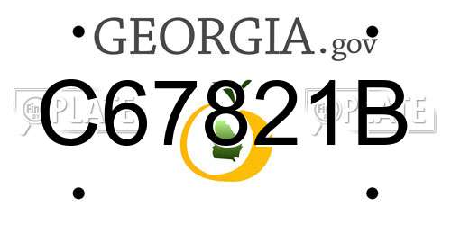 C67821B Georgia License Plate