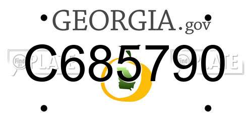 C685790 Georgia License Plate