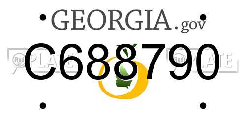 C688790 Georgia License Plate
