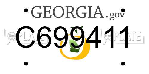 C699411 Georgia License Plate