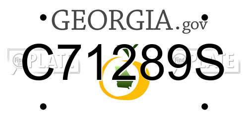 C71289S Georgia License Plate