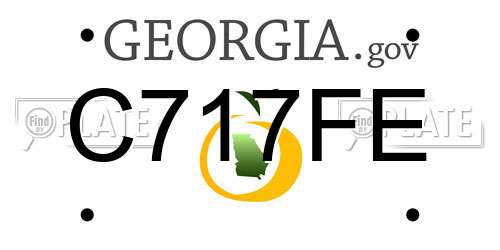 C717FE Georgia License Plate