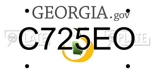 C725EO Georgia License Plate