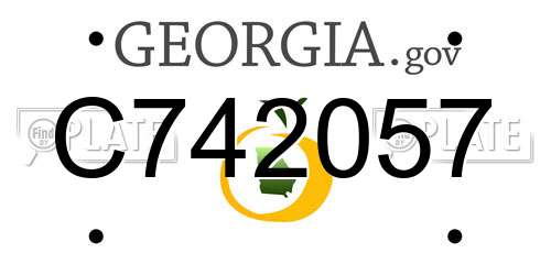 C742057 Georgia License Plate