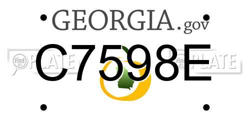 C7598E Georgia License Plate