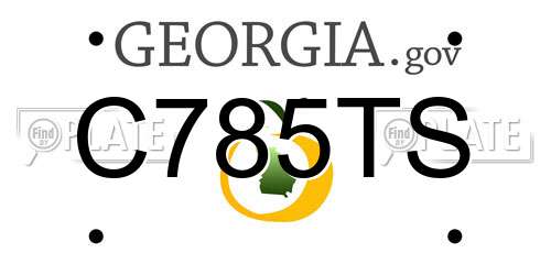 C785TS Georgia License Plate