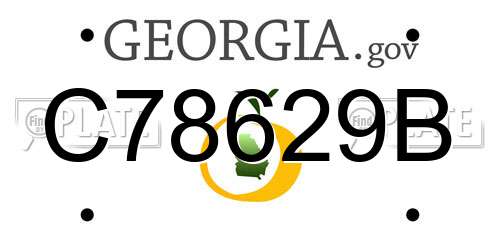 C78629B Georgia License Plate
