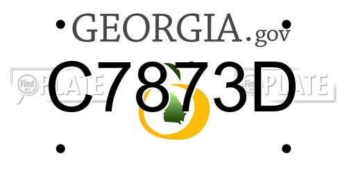 C7873D Georgia License Plate