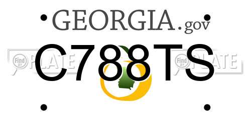 C788TS Georgia License Plate