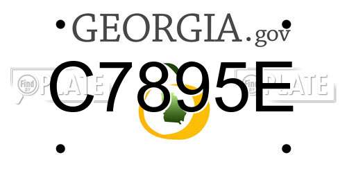 C7895E Georgia License Plate