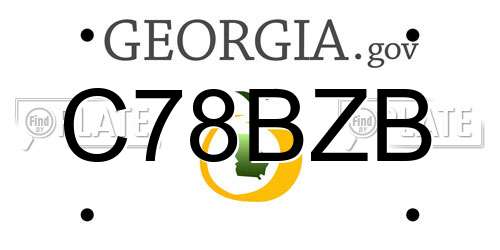 C78BZB Georgia License Plate