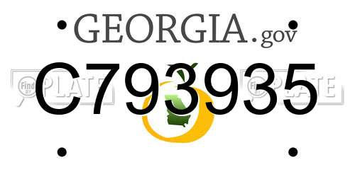 C793935 Georgia License Plate