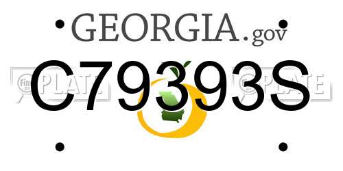 C79393S Georgia License Plate
