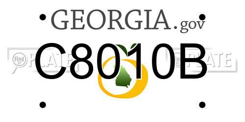 C8010B Georgia License Plate