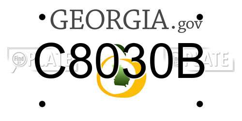 C8030B Georgia License Plate