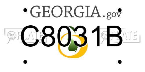 C8031B Georgia License Plate