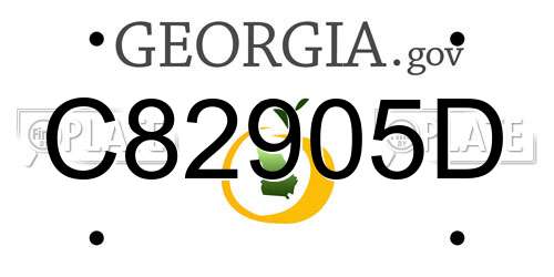 C82905D Georgia License Plate