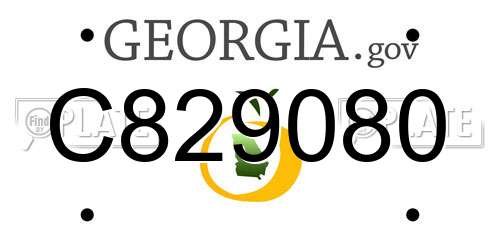 C829080 Georgia License Plate