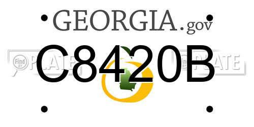 C8420B Georgia License Plate