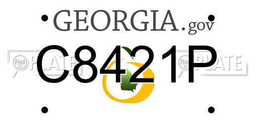 C8421P Georgia License Plate