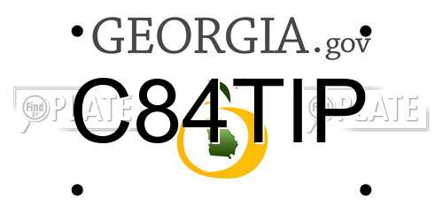 C84TIP Georgia License Plate