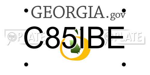 C85IBE Georgia License Plate