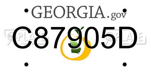 C87905D Georgia License Plate