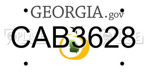CAB3628 Georgia License Plate
