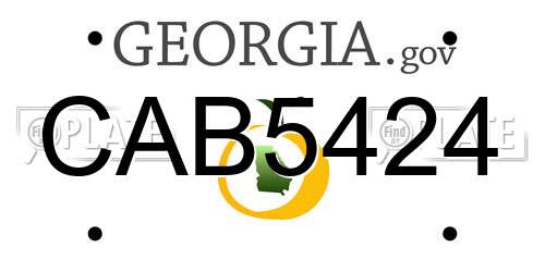 CAB5424 Georgia License Plate