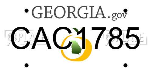 CAC1785 Georgia License Plate